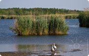 Плавающие острова