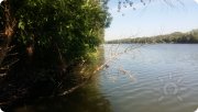 Место силы в&nbsp;Среднеахтубинской пойме, Волгоградская область. Дачный Клуб "Усадьба Репино"