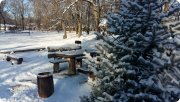 Место силы в&nbsp;Среднеахтубинской пойме, Волгоградская область. Дачный Клуб "Усадьба Репино"