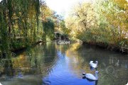 Место силы в&nbsp;Среднеахтубинской пойме, Волгоградская область. Дачный Клуб "Усадьба Репино"