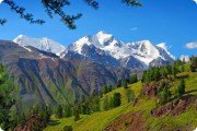 Белуха