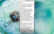 Сеансы Access Bars. Энергетический массаж головы. Релаксация и&nbsp;восстановление