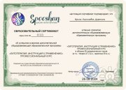 Сертификат литотерапевта