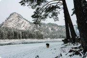 Новогодние каникулы в&nbsp;горах Алтая + психологический тренинг