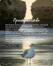 Вдохновляющий ретрит "Путь Сердца"