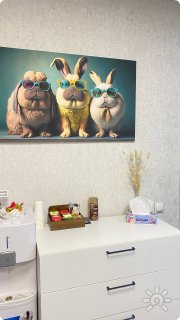 Кабинет для встречи