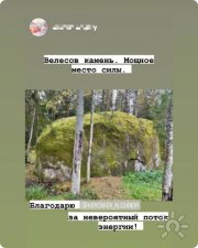 Отзыв: Велесов камень