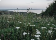 Ретрит "Точка Опоры"