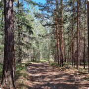 Женский ретрит-интенсив "Путь Императрицы"