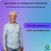 Онлайн-обучение от&nbsp;немецких тренеров "Системное консультирование"
