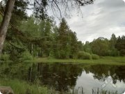 Ретрит "Цветочная перезагрузка&nbsp;— Освобождение: шаг в&nbsp;новую жизнь"