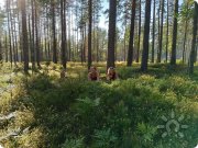 Психологический тренинг "Работа со&nbsp;страхами"