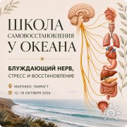 Школа Самовосстановления у&nbsp;океана