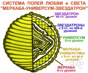 Схема Системы полей МУЗ