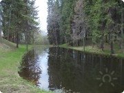 Лесное озеро в&nbsp;60 метрах от&nbsp;Ясеня