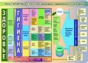 Структура программы