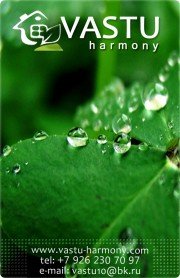 Студия разумного дизайна Vastu-harmony