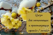Радужный цигун | Группа