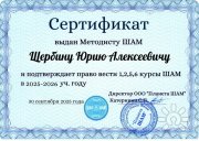 Сертификат методиста