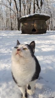 Светлячок | СТК
