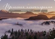 Телесная психотерапия. Теория и&nbsp;практика