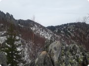 Арвет