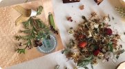 сертификация йога-голоса