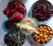 Ретритный дом Гаури
