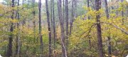 Зеленогория | Загородный культурно-развлекательный клуб