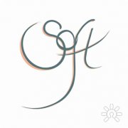 SOFT center