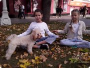 цигун по&nbsp;Методу Полного Совершенства в&nbsp;Саду "Эрмитаж" м&nbsp;Пушкинская, Москва
