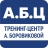 Тренинг-центр Боровиковой