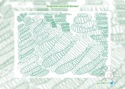 Энергетический баланс