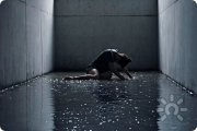 Ложное доверие. Как не&nbsp;попасть в&nbsp;ловушку
