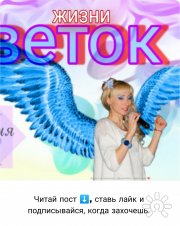 Жизни (цветок) Джулия Вал. Серия "Родители и&nbsp;дети". Ребёнок