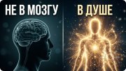 Сознание человека привязано не&nbsp;к мозгу, а&nbsp;к душе человека