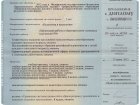 BizyavaDiplom2