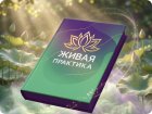 Живая практика. Тело. Телесно-ориентированная интеграционная практика с сопровождением. Наталья Воробьёва