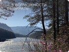 Панчакарма на Алтае
