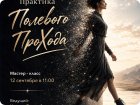 Практика Полевого Прохода